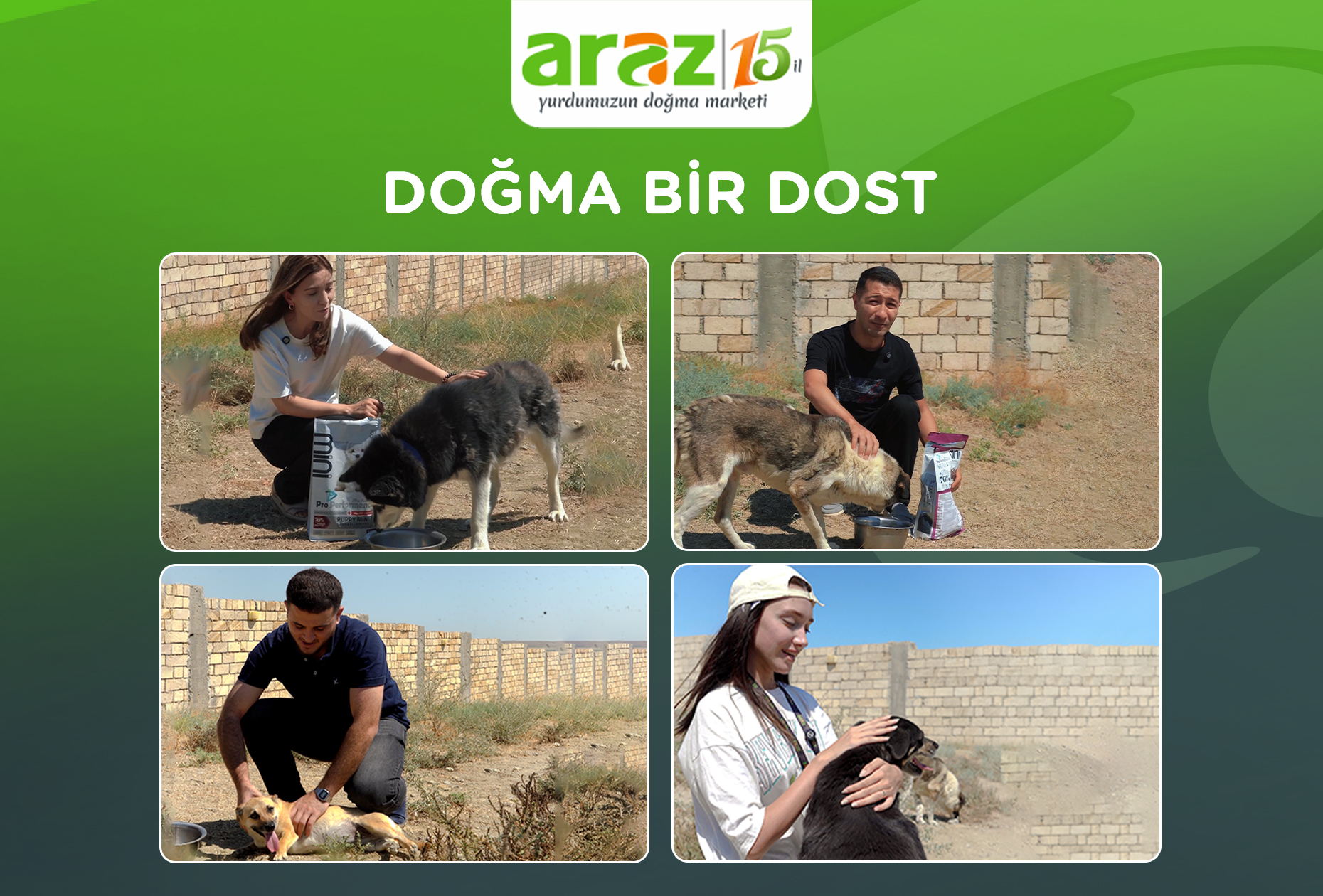 araz-employees-visit-an-animal-shelter-as-part-of-the-dogma-bir-dost-project-697