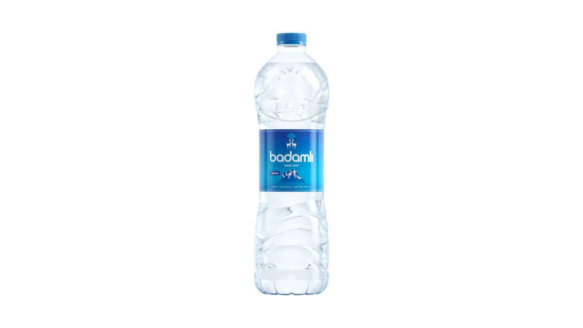 Badamlı Qazsız 1l