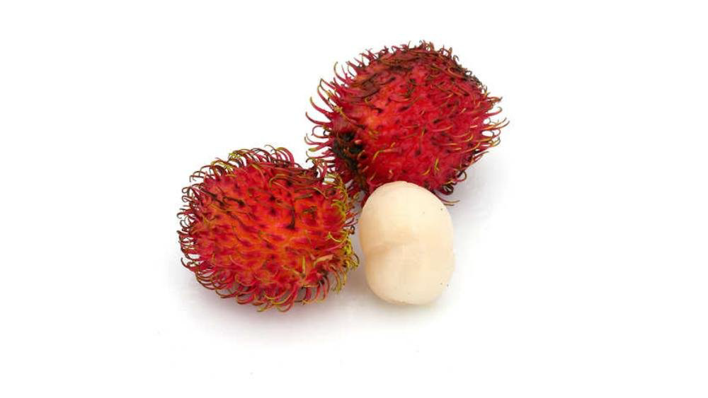 rambutan-kq-1979